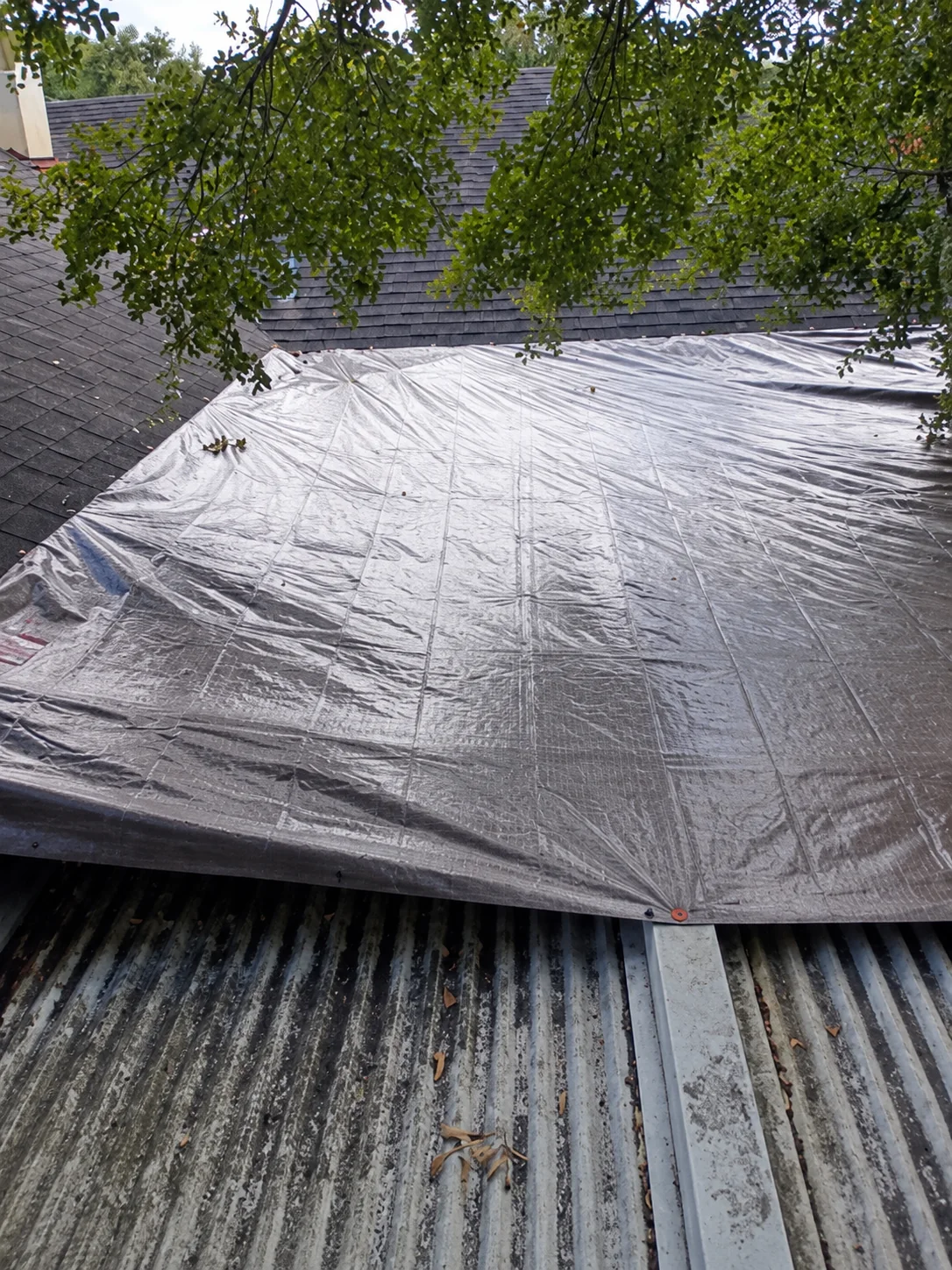 Fastened edge of a temporary roof tarp above corrugated roofing
